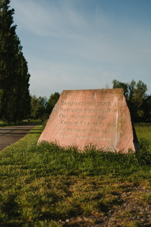 AMA 6781